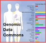 The Genomic Data Commons at the Ten-Year Mark
